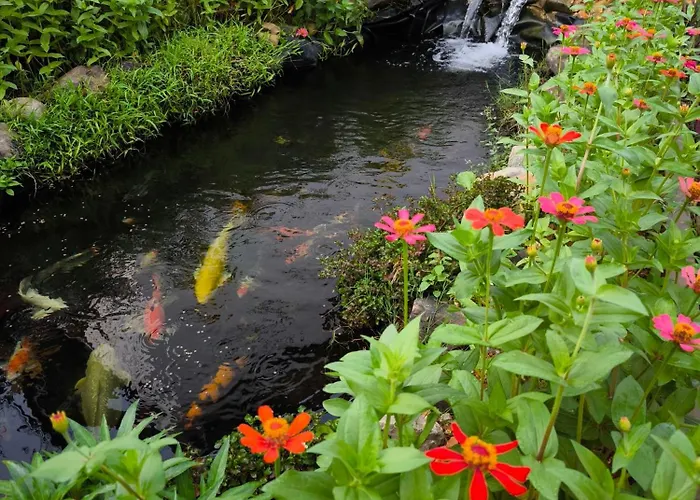 Dok Champa Resort