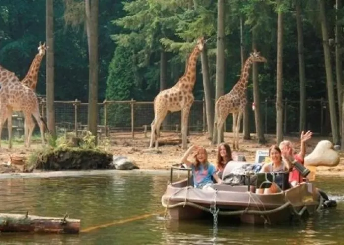 Trinity Lodges 12 People