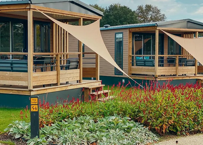 Trinity Lodges 12 People