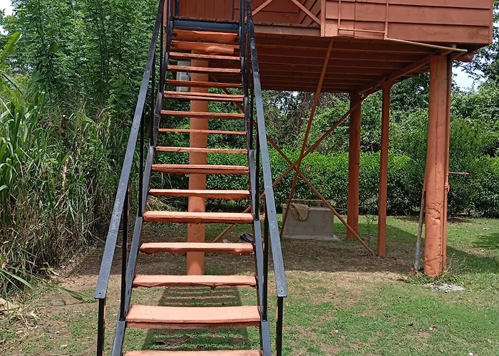 Sigiri Royal Point Tree House