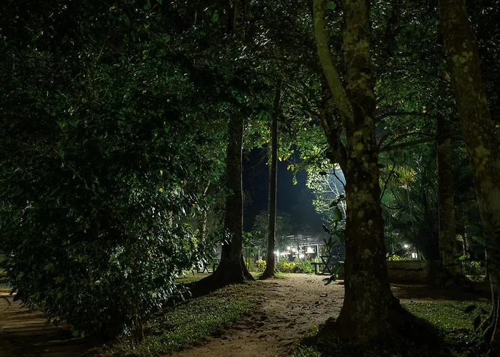 The Mountain Courtyard Thekkady