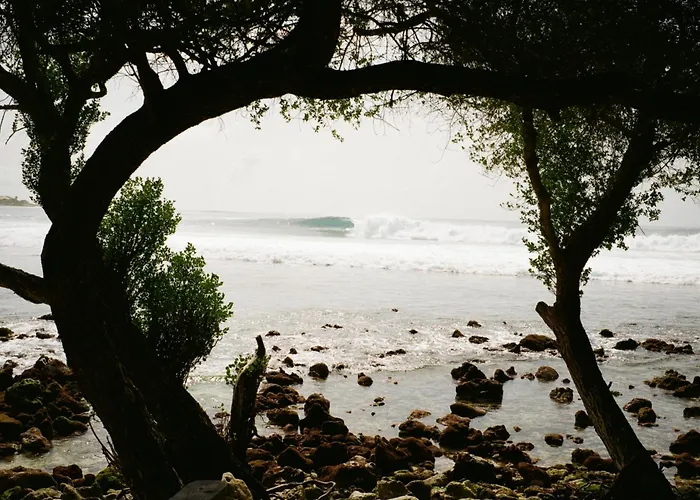 Twin Palms 'Beach House' - New Surf Front Location