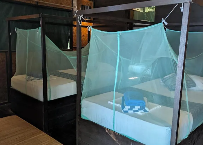 Rimba Resort - Dive Centre & Spa