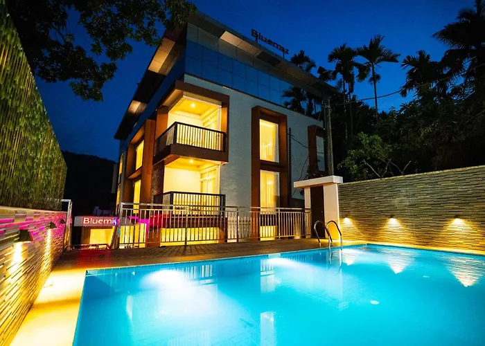 Bluemist Resorts