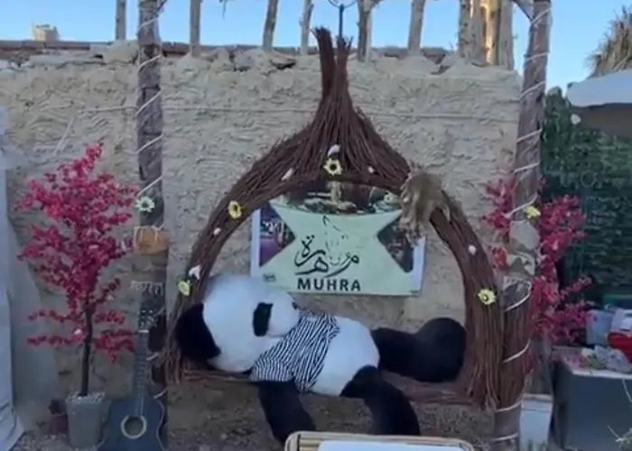 Muhra Camp