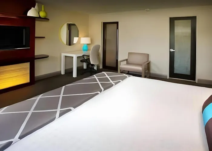 Disney'S Contemporary Resort