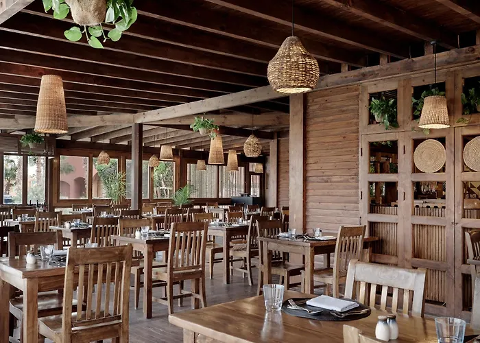Cook'S Club El Gouna (Adults Only)