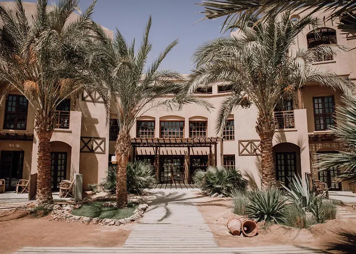 Cook'S Club El Gouna (Adults Only)