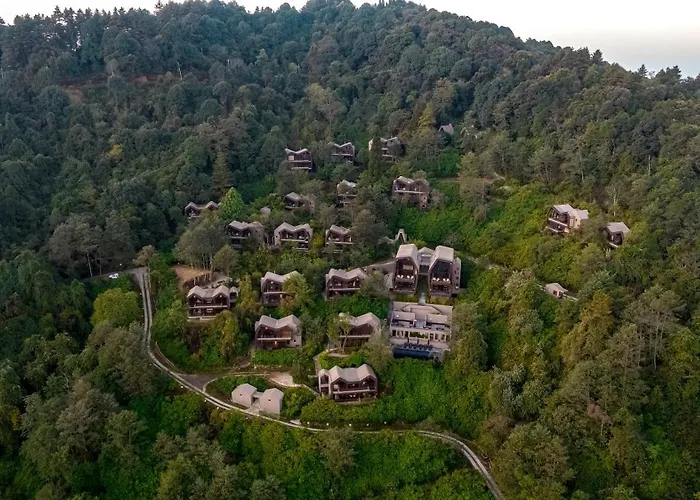 Kavya Himalayas
