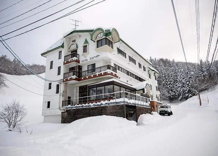 The Schneider Hotel