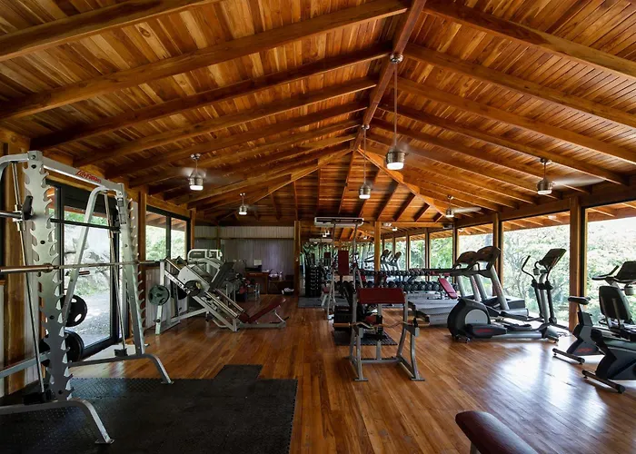 Bodhi Tree Yoga Resort