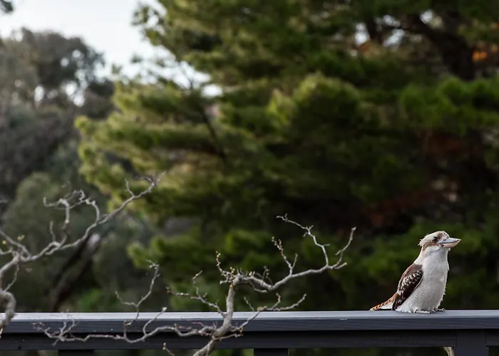 Shizuka Ryokan Japanese Country Spa & Wellness Retreat