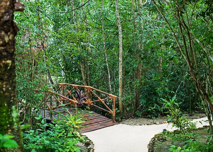 The Explorean Selva Maya Kohunlich