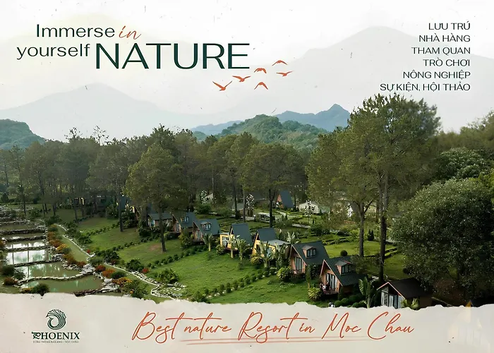 Phoenix Moc Chau Resort