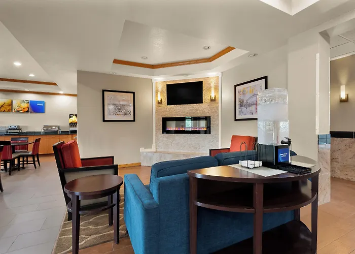 Comfort Inn & Suites Fenton