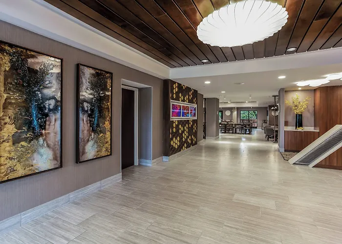 Springhill Suites By Marriott Austin The Domain Area