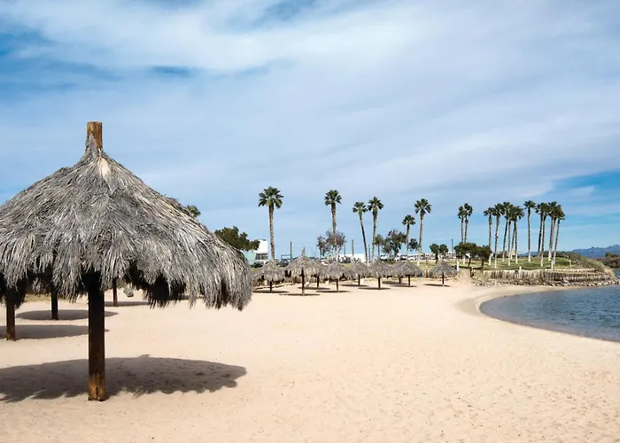 Avi Resort & Casino