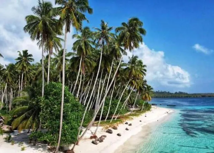 Playgrounds Sabbit Mentawai Surfcamp