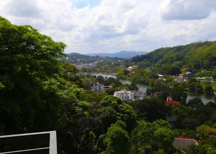 The Dorwin Heights