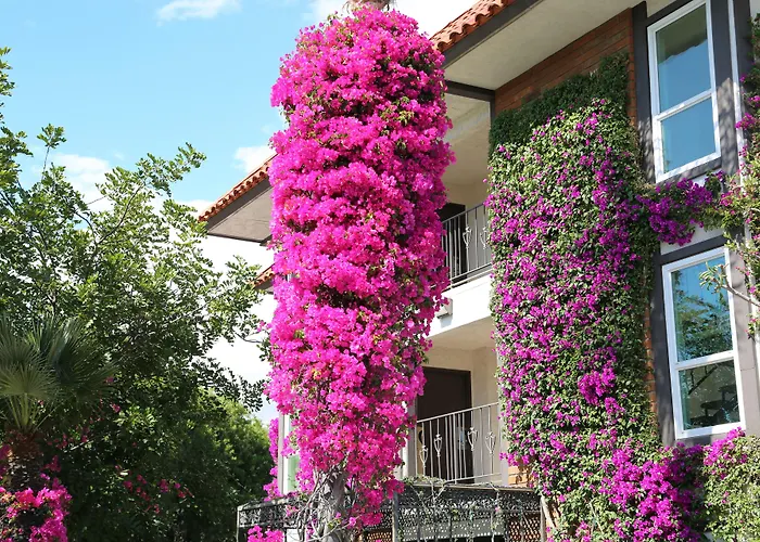 Laguna Hills Lodge-Irvine Spectrum