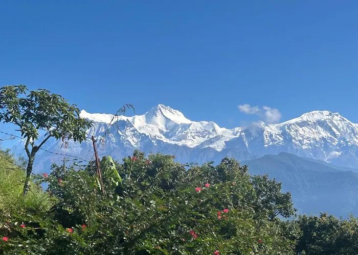 Hotel Pristine Himalaya