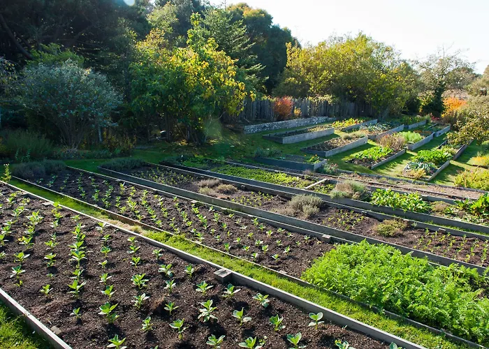 Stanford Inn & Resort On The Mendocino Coast