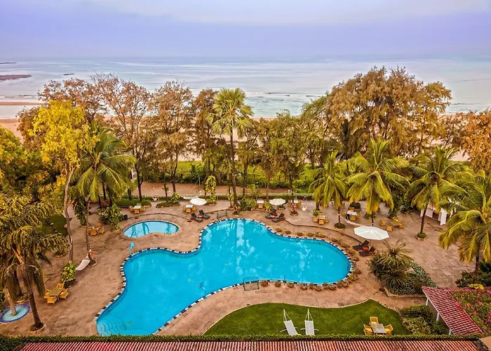 The Resort