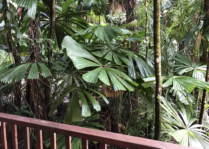 Daintree Wilderness Lodge