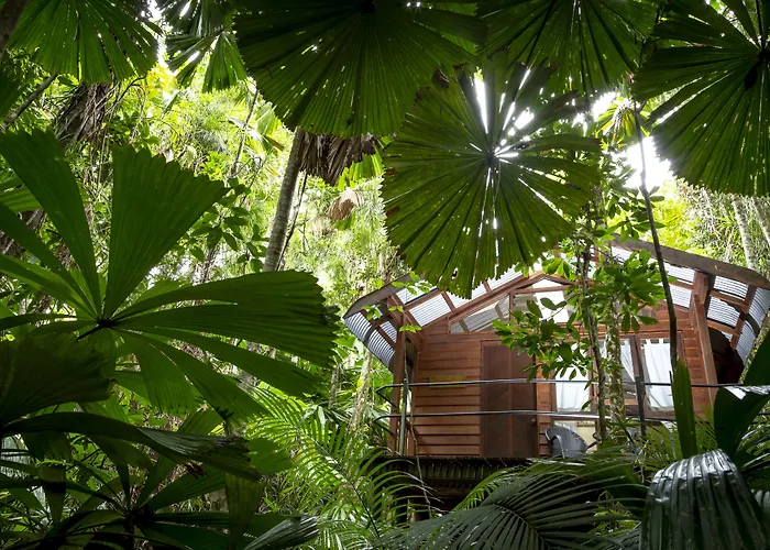 Daintree Wilderness Lodge