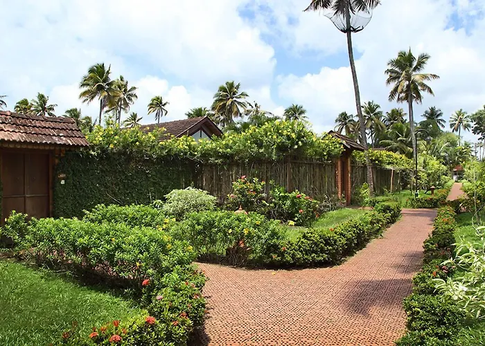 Abad Whispering Palms