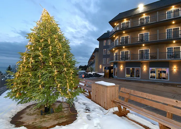 Hotel Et Pavillons Le Petit Manoir Du Casino