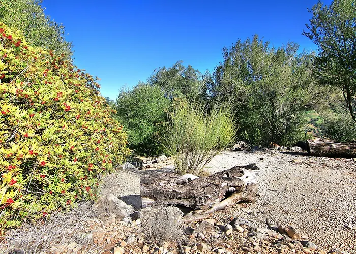 Casas Rurales Los Algarrobales
