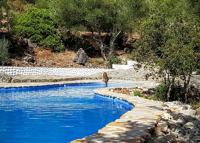 Casas Rurales Los Algarrobales
