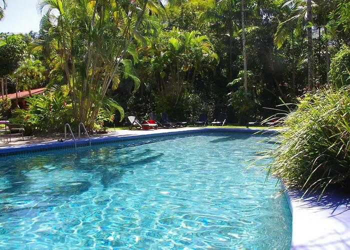Pink Flamingo Resort