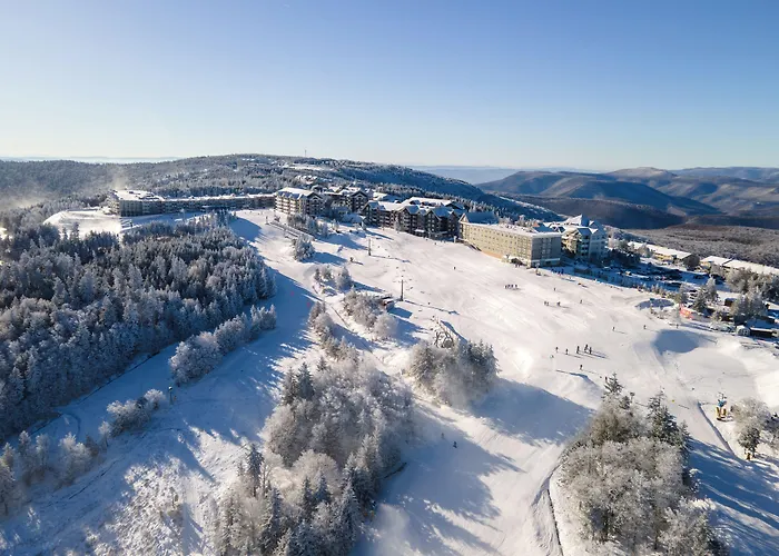 Snowshoe Resorts