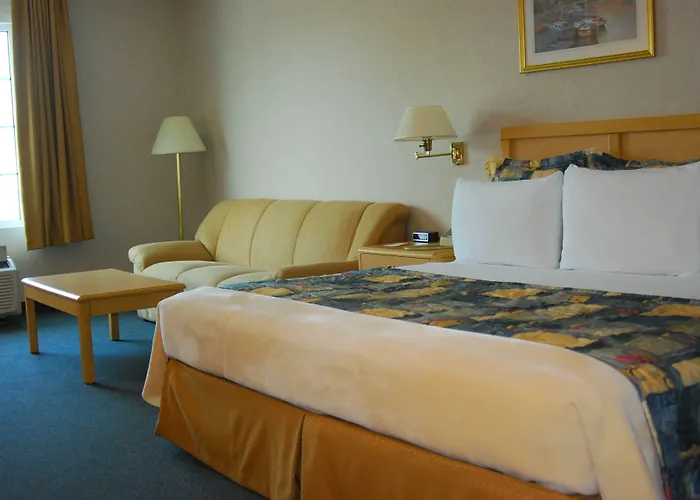 Rio Vista Inn Business High Class Tampico