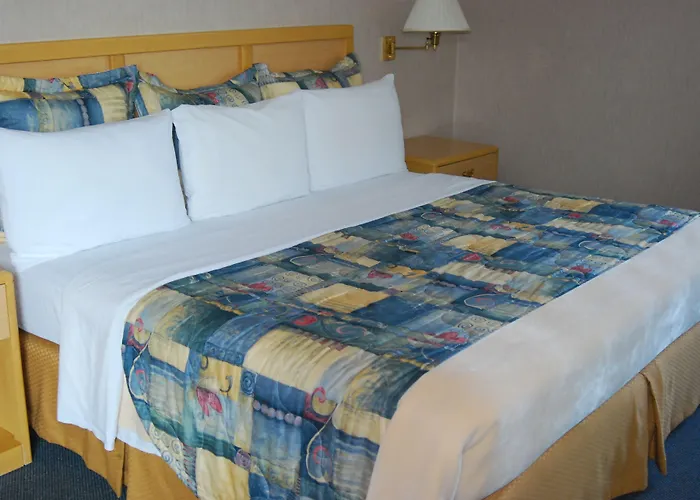 Rio Vista Inn Business High Class Tampico