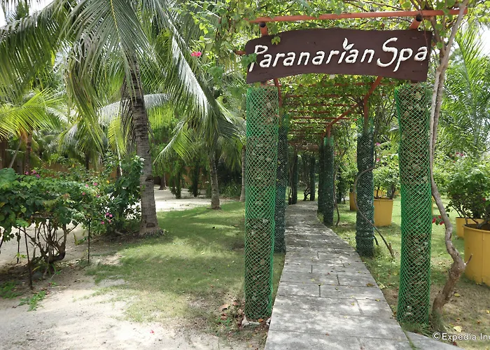 Dos Palmas Island Resort And Spa