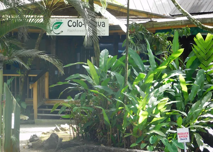 Rainforest Eco Lodge