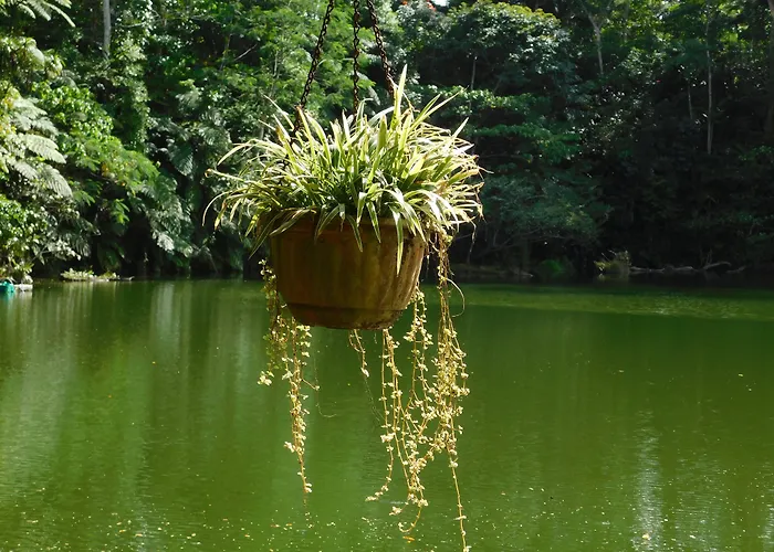 Rainforest Eco Lodge