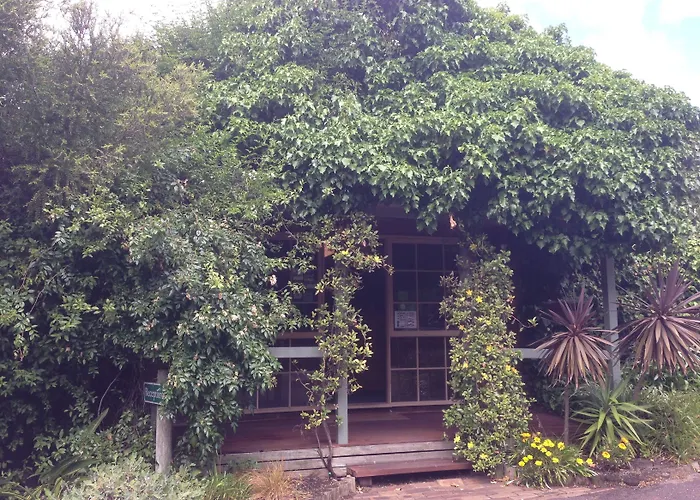 Ti-Tree Village