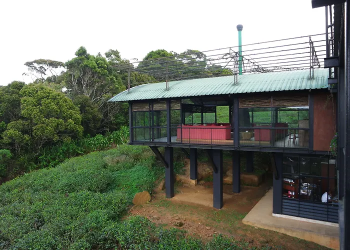 The Rainforest Ecolodge