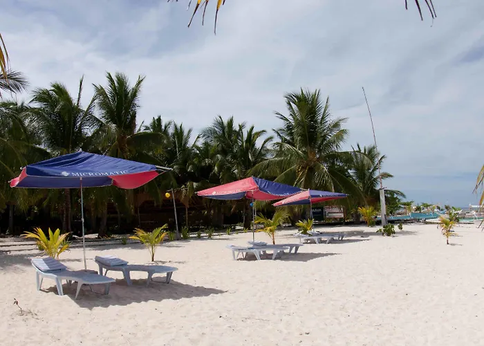 Evolution Dive And Beach Resort