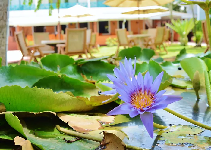 Canouan Island Resorts
