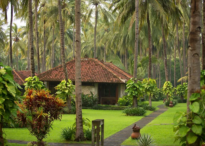 Banyuwangi (East Java) Resorts