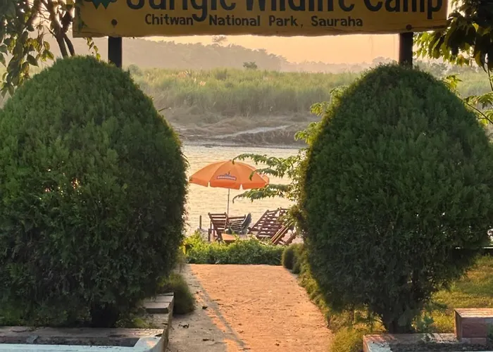 Jungle Wildlife Camp