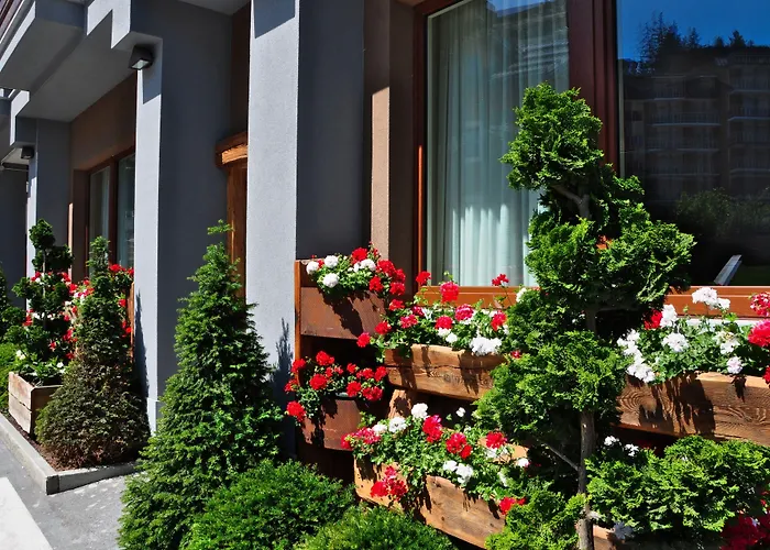 Serendipity Hotel