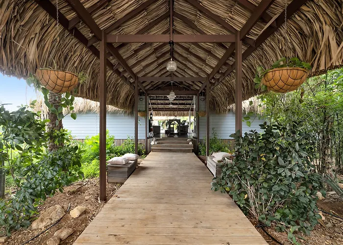 Red Palm Village