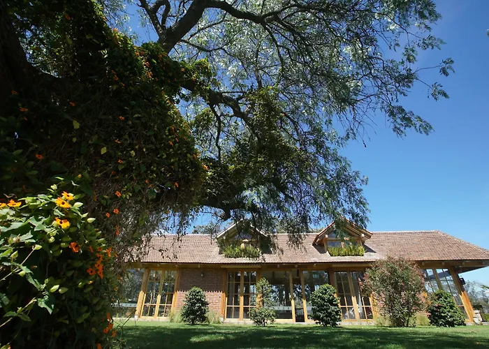 La Palma Polo Hotel - Airport Area