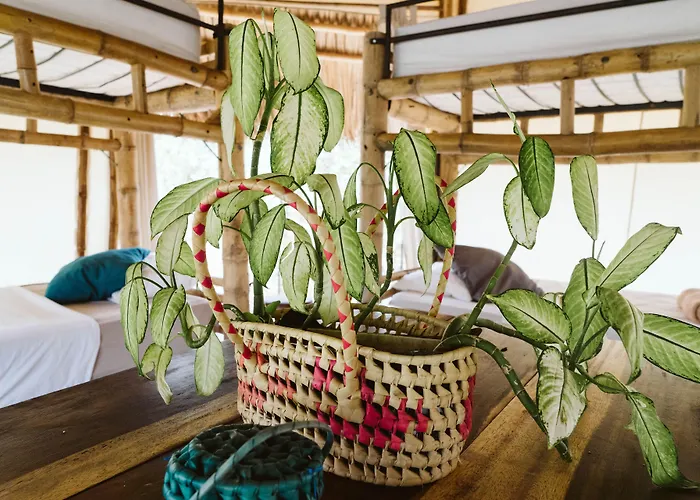 Dreamsea Surf Resort Nicaragua